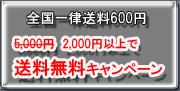 ����̵����������ꥮ�ե���������Ź���ץ쥼��ȥ���������