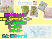�������ʥǥ�����ڥ���ꥫ���ۡ�Ž�äƤϤ����Ƥޤ�Ž��롡�������륹�ƥå������������ܸ������סˡ��롼��ᥤ��
