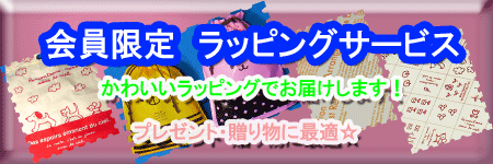 �ץ쥼��ȥ�����������������ꡡ��åԥ󥰡������ӥ�