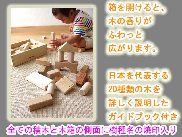 寄木の積木 英語入り（木箱） 知育玩具としてお薦め、出産御祝にも喜ばれる木のおもちゃ 積木
